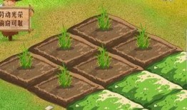 开心肉品农场爆料视频,独家爆料带你探秘农场养殖全过程